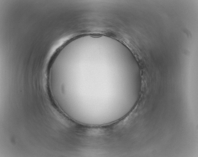 X0000115500342200911271414