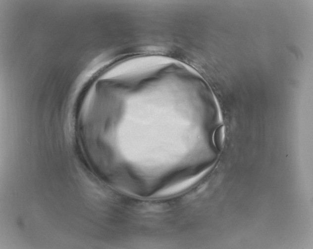 X0000115500343200911271415