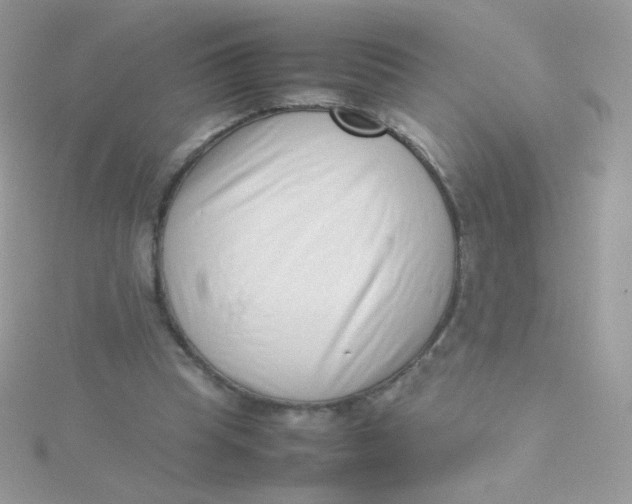 X0000115500345200911271415