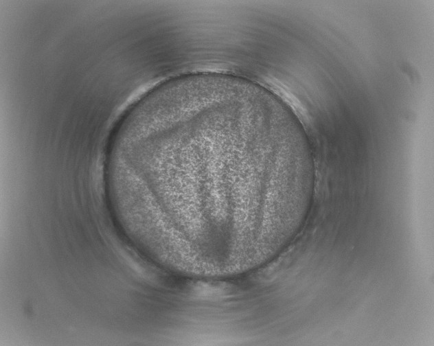 X0000115500346200911271415