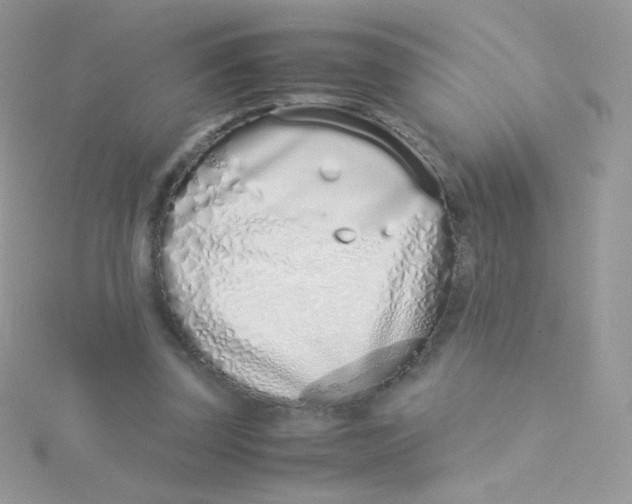 X0000115500347200911271415