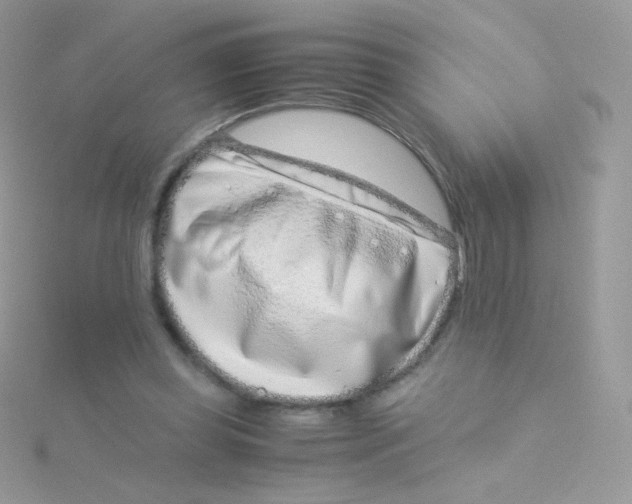 X0000115500349200911271415