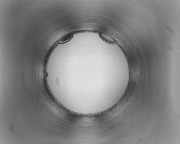 X0000115500350200911271415