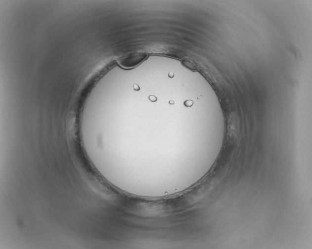 X0000115500351200911271415