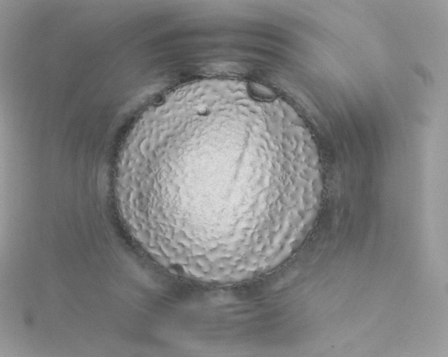 X0000115500353200911271415