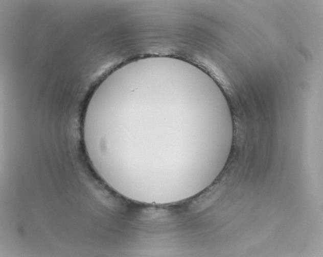 X0000115500354200911271415