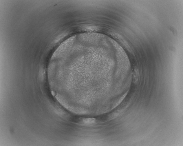 X0000115500355200911271415