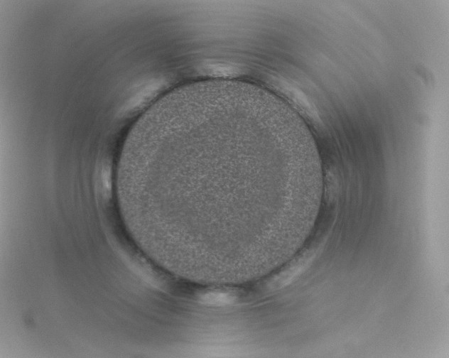 X0000115500358200911271415