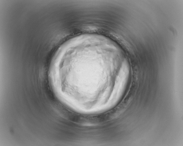 X0000115500359200911271415