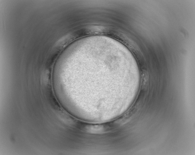 X0000115500361200911271415