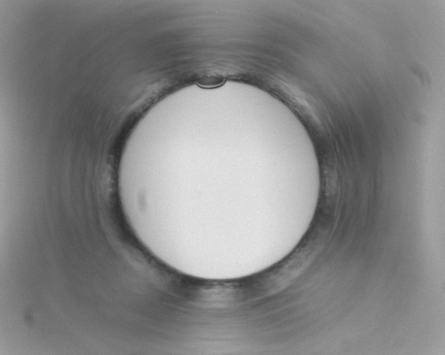 X0000115500362200911271415