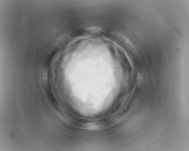 X0000115500365200911271415