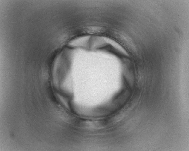 X0000115500367200911271415