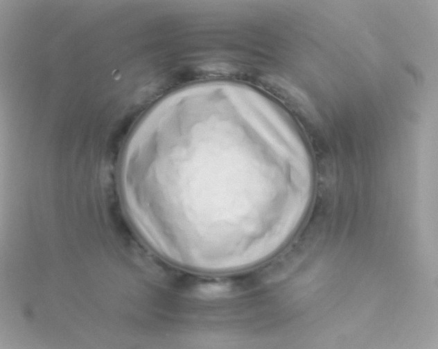 X0000115500369200911271415