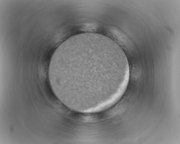 X0000115500370200911271415