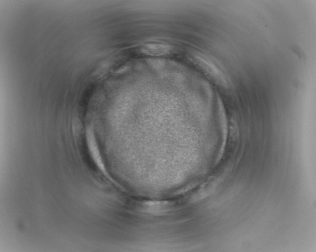 X0000115500371200911271415