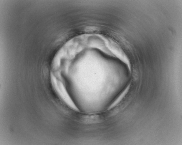 X0000115500375200911271415