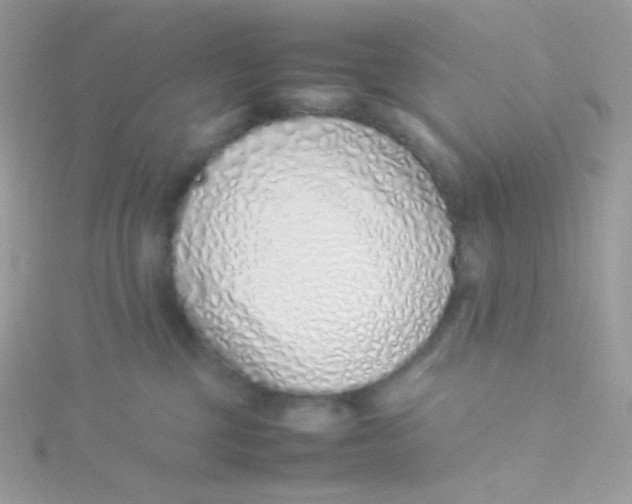 X0000115500377200911271415