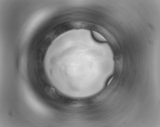 X0000115500381200911271415