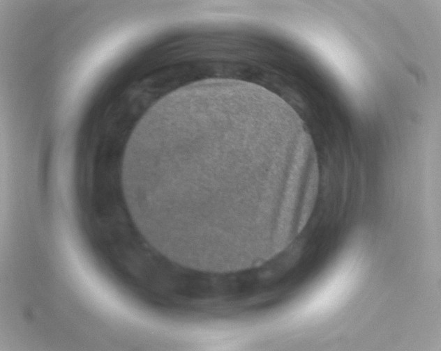 X0000115500383200911271415