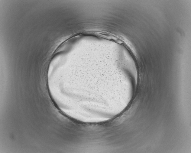 X0000115500385200911271414