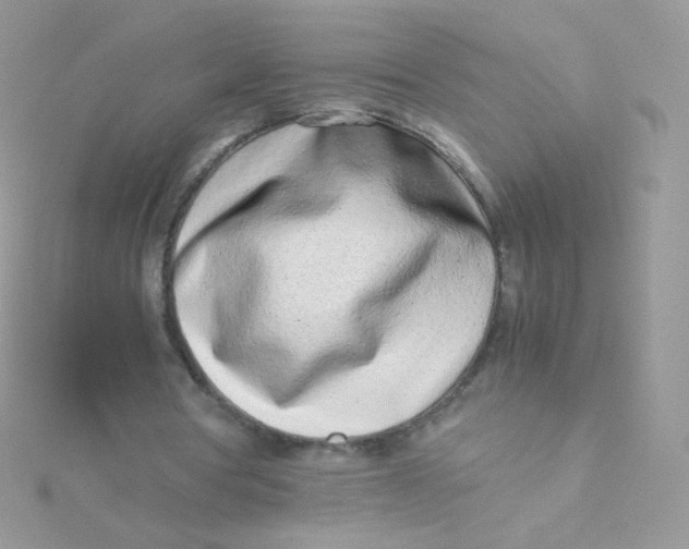 X0000115500386200911271414