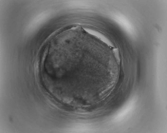 X0000115500387200911271414