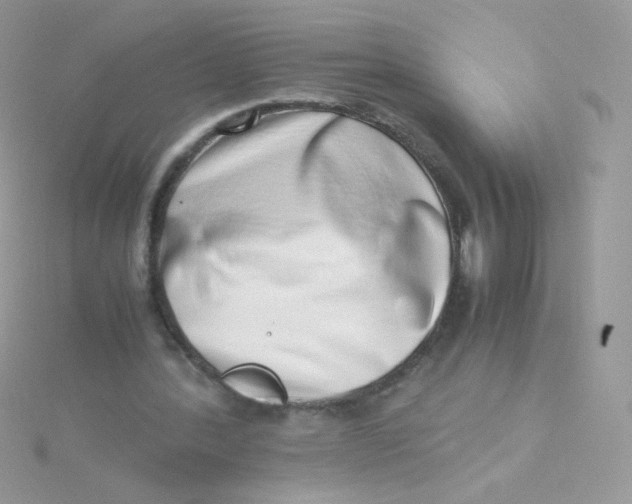 X0000115500388200911271414