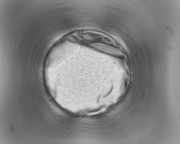 X0000115500389200911271414