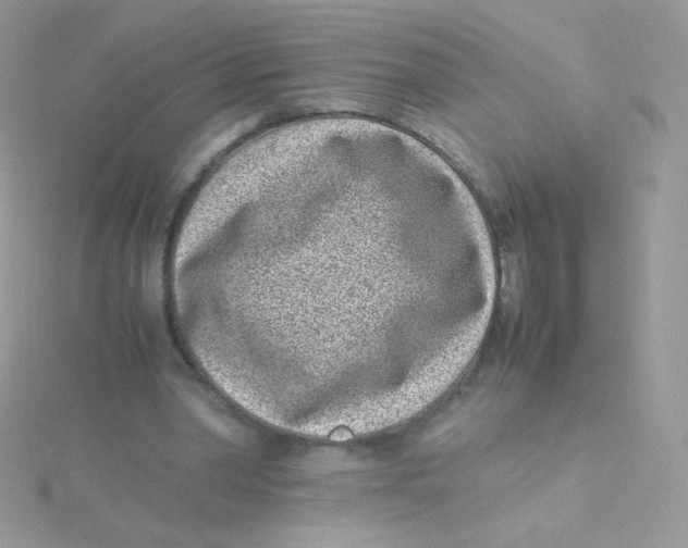 X0000115500390200911271414