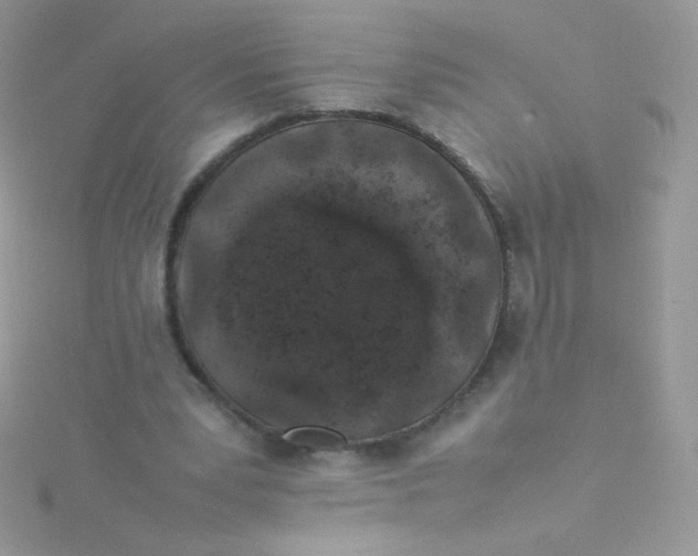 X0000115500391200911271414