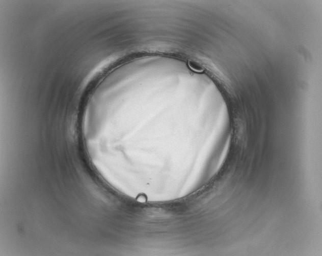 X0000115500392200911271414