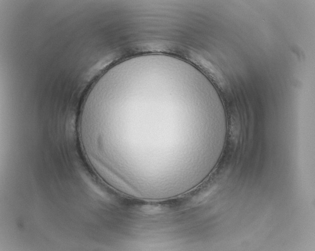 X0000115500394200911271414