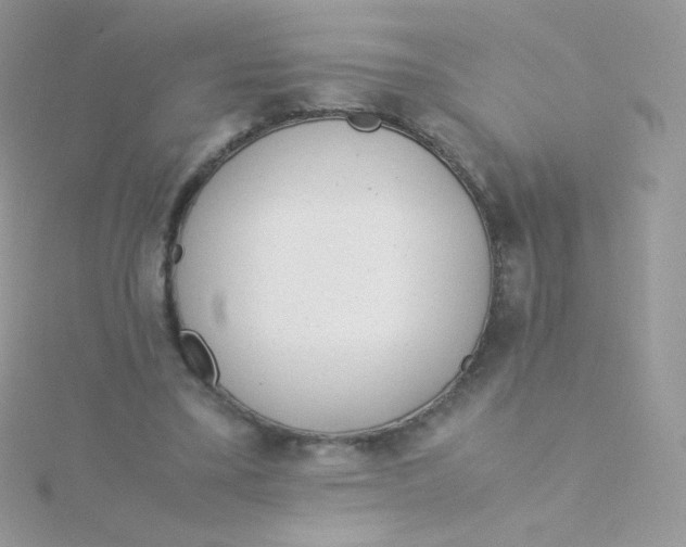 X0000115500395200911271414