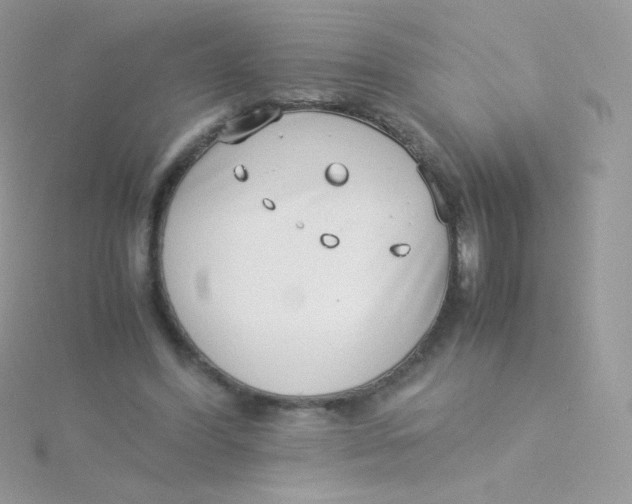 X0000115500396200911271414