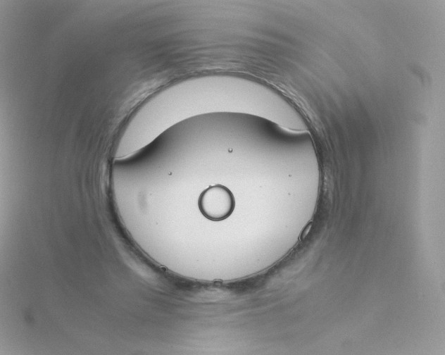 X0000115500397200911271414