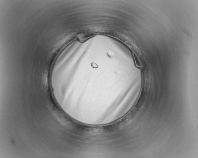 X0000115500398200911271414