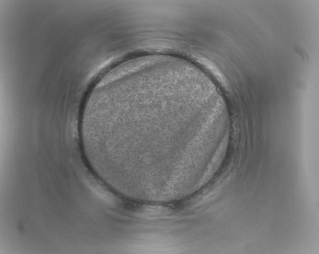 X0000115500399200911271414