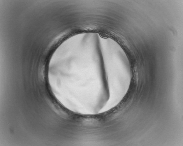 X0000115500400200911271414