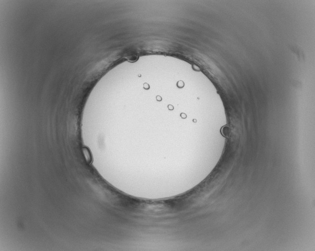 X0000115500401200911271414