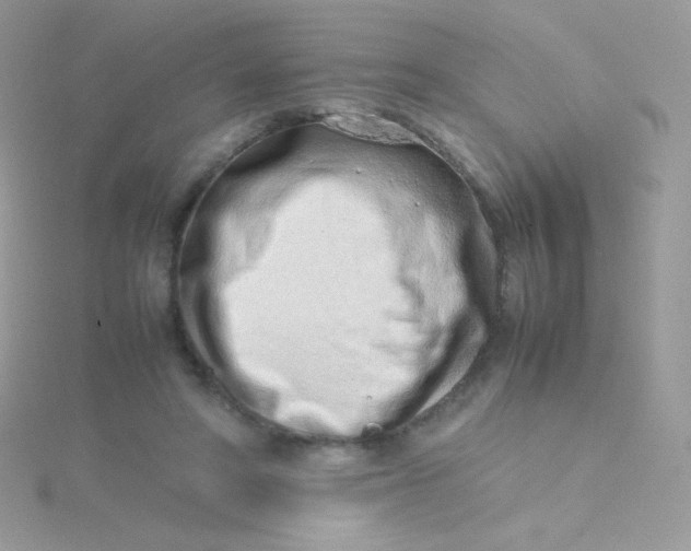 X0000115500402200911271414