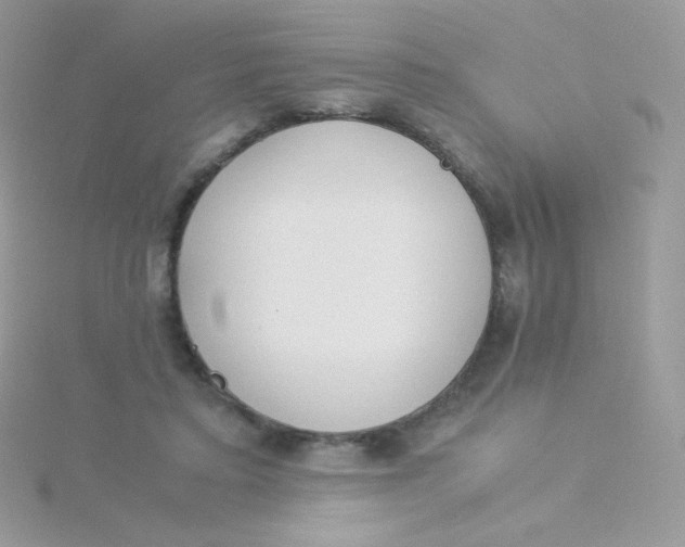 X0000115500403200911271414