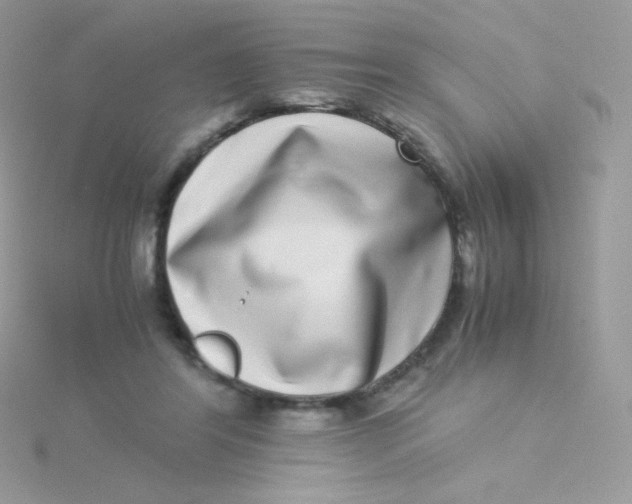 X0000115500404200911271414