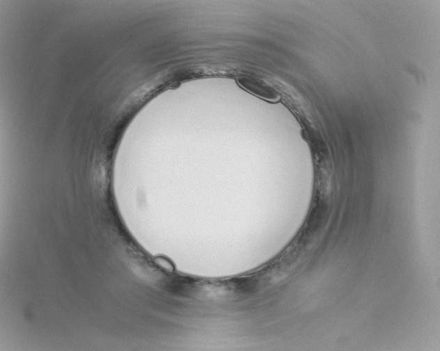 X0000115500405200911271414