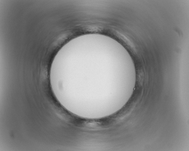 X0000115500407200911271414