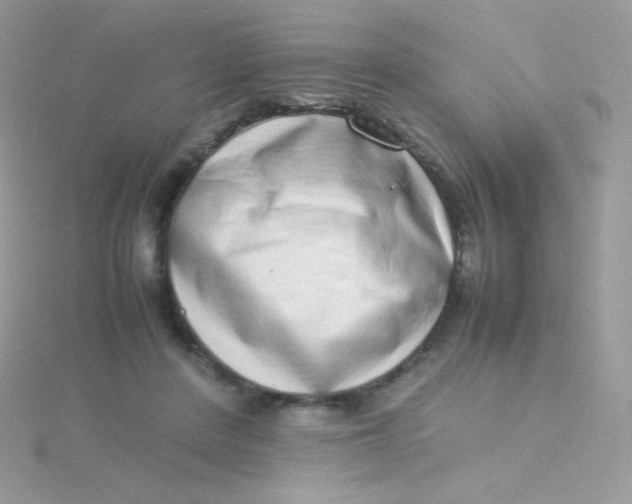 X0000115500408200911271414