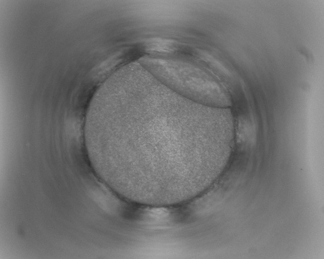 X0000115500409200911271414