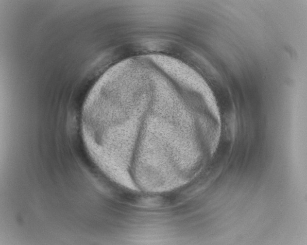 X0000115500410200911271414