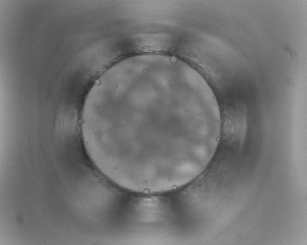 X0000115500411200911271414