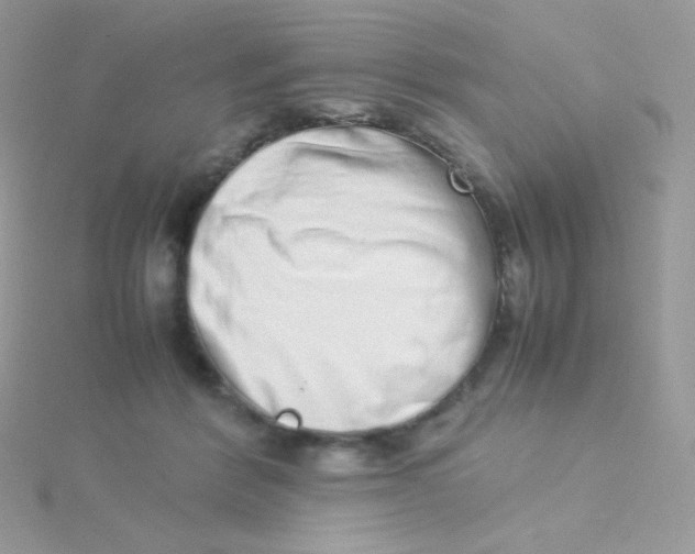 X0000115500412200911271414